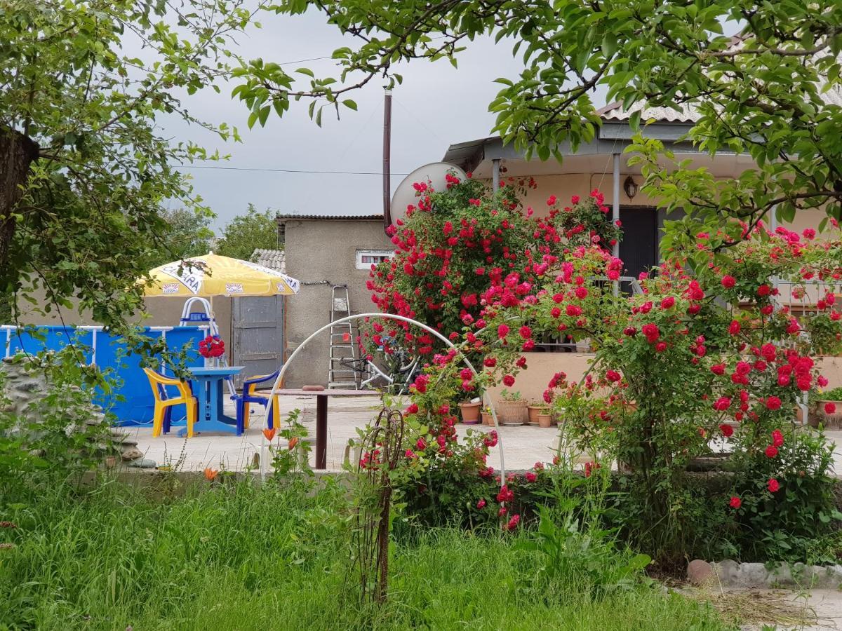 Family Hotel Maia - Cемейная Гостиница Майя Dashbashi Luaran gambar