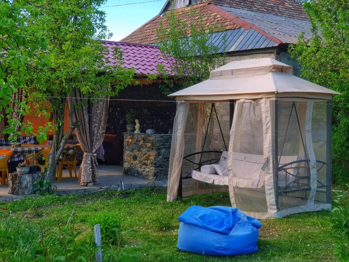 Family Hotel Maia - Cемейная Гостиница Майя Dashbashi Luaran gambar
