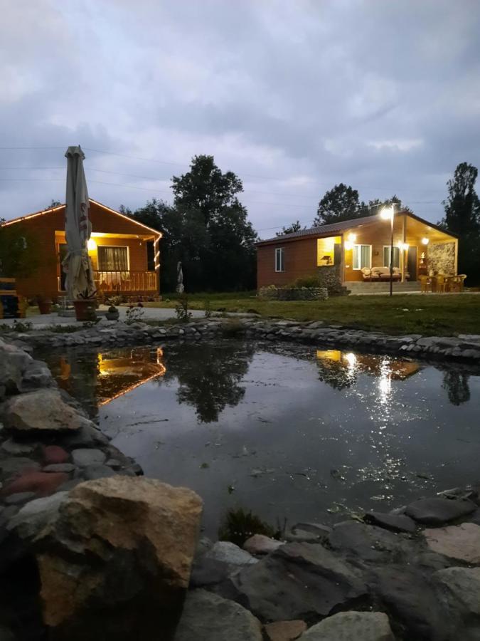 Family Hotel Maia - Cемейная Гостиница Майя Dashbashi Luaran gambar