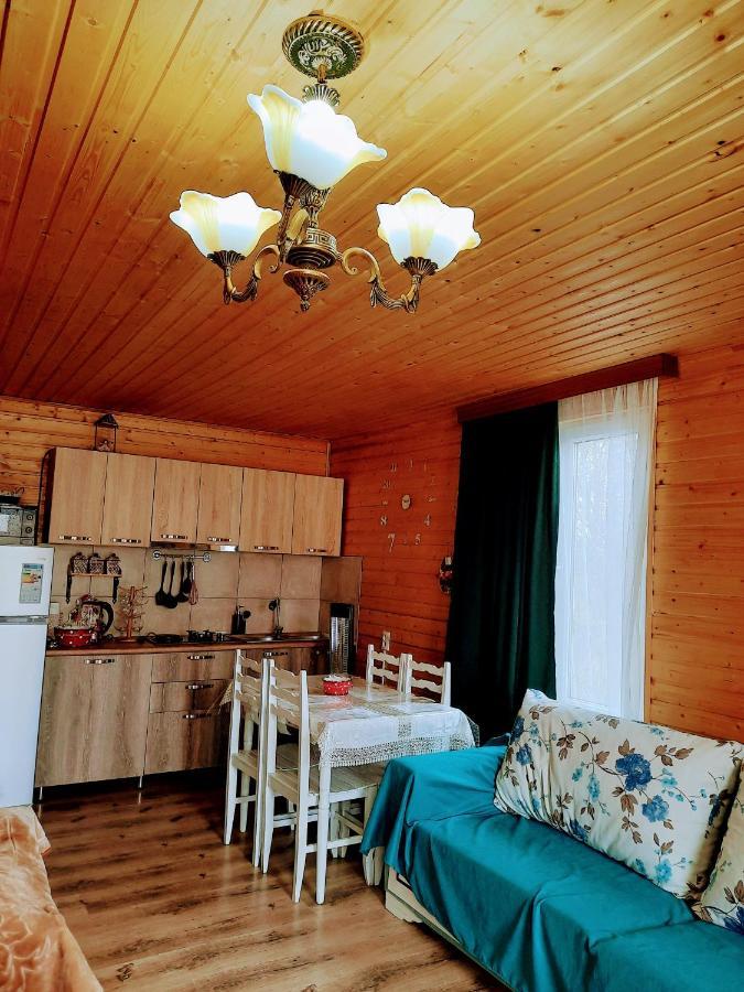 Family Hotel Maia - Cемейная Гостиница Майя Dashbashi Luaran gambar