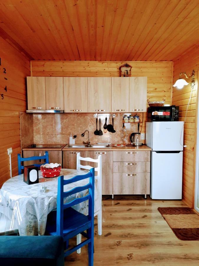Family Hotel Maia - Cемейная Гостиница Майя Dashbashi Luaran gambar