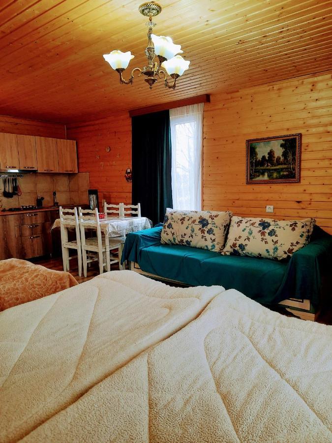 Family Hotel Maia - Cемейная Гостиница Майя Dashbashi Luaran gambar
